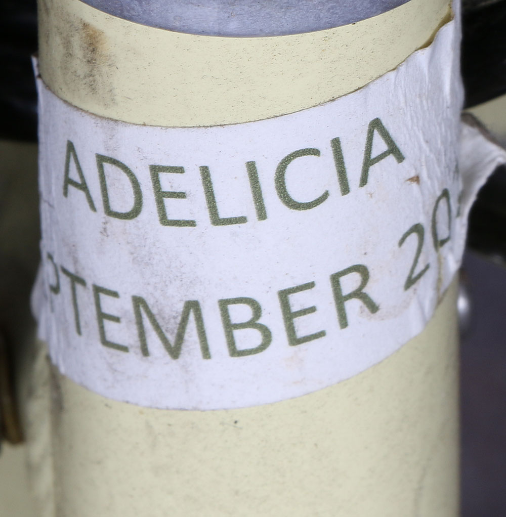 Trek Calypso Beach Cruiser Bicycle in Pale Yellow