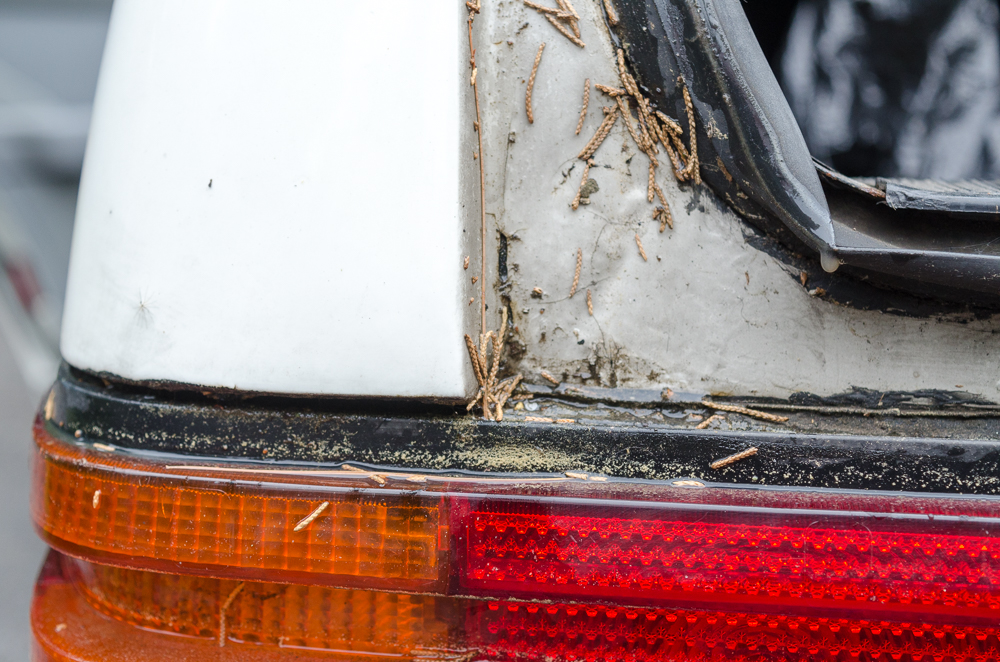 1984 Mercedes Turbo Diesel 300 SD