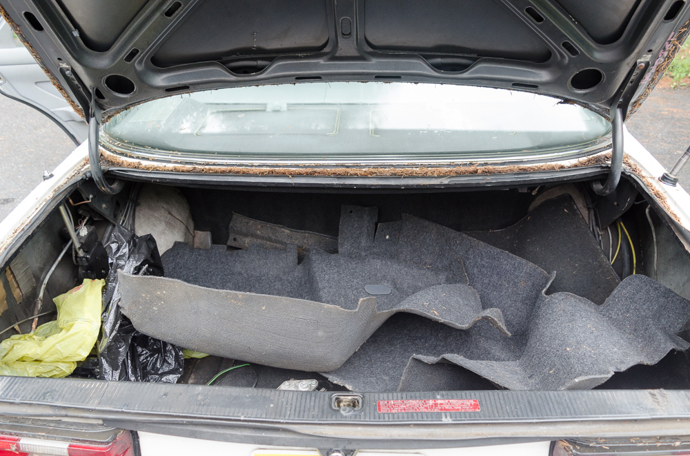 1984 Mercedes Turbo Diesel 300 SD