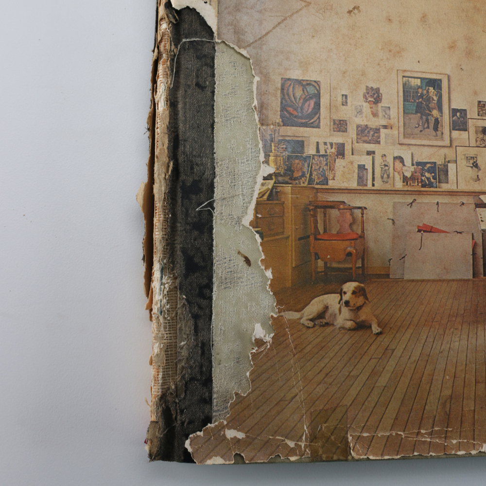 Collection of Art Reference Books