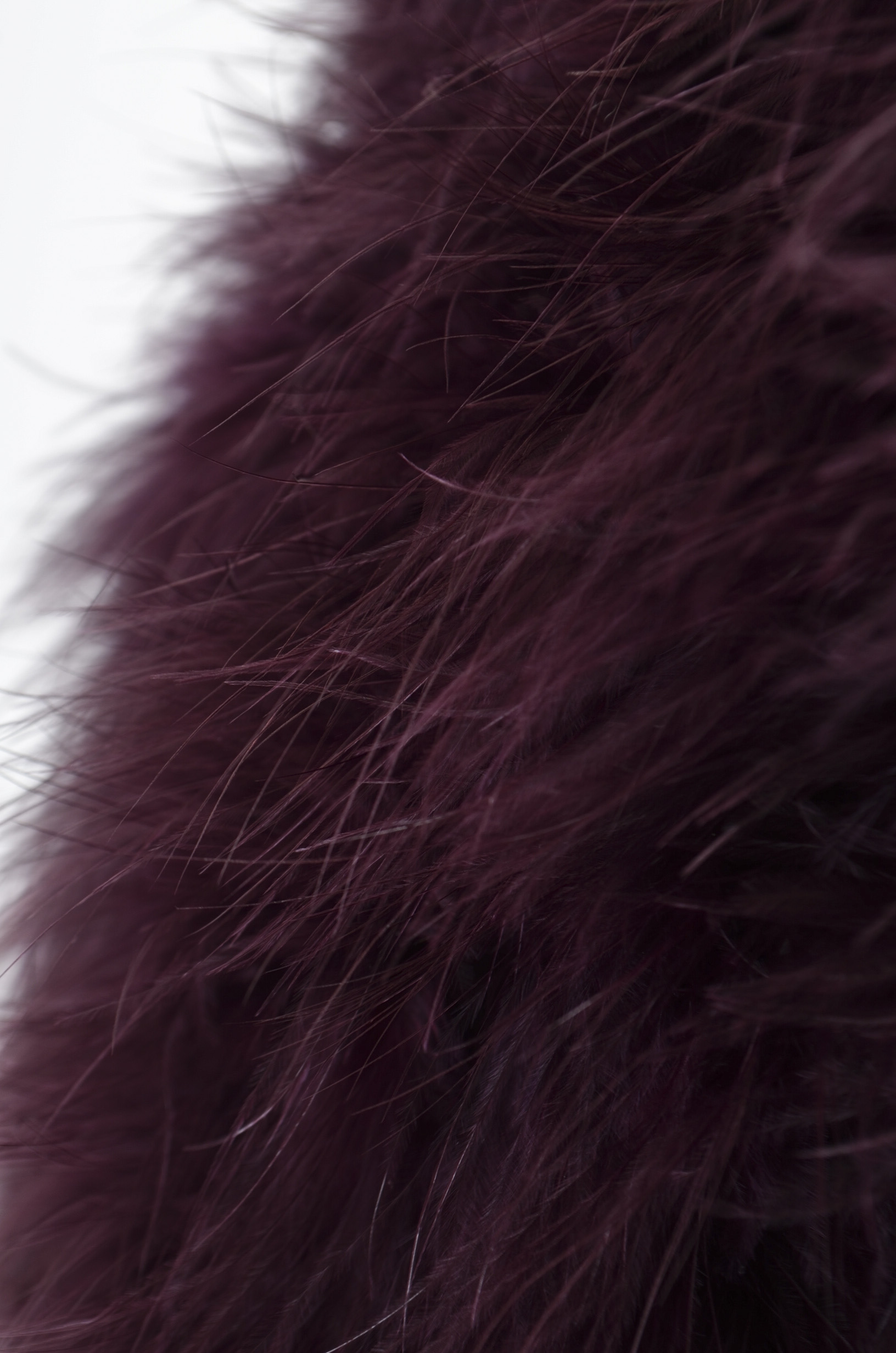 Forever 21 Purple Mesh and Feather Capelet