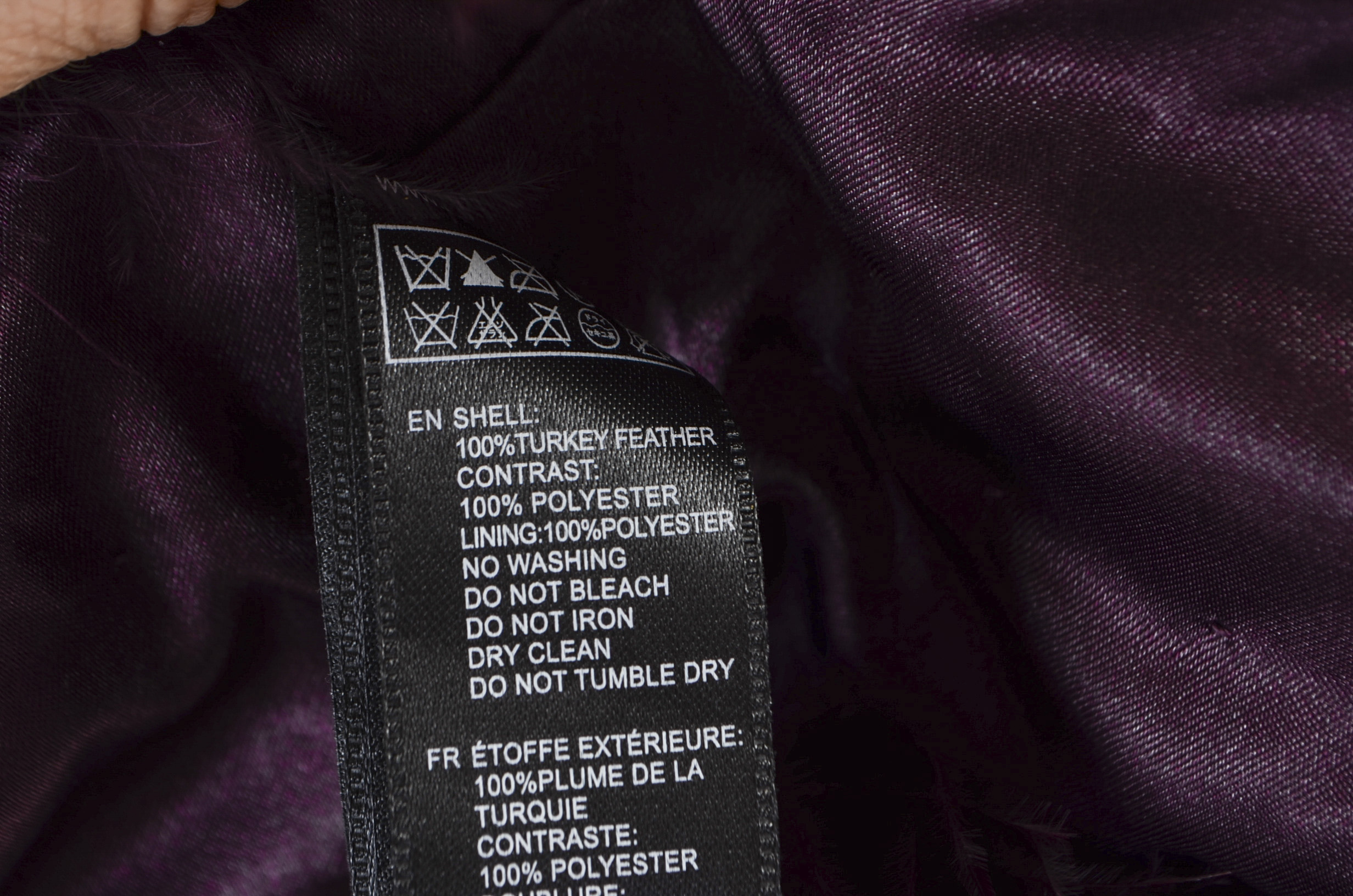 Forever 21 Purple Mesh and Feather Capelet