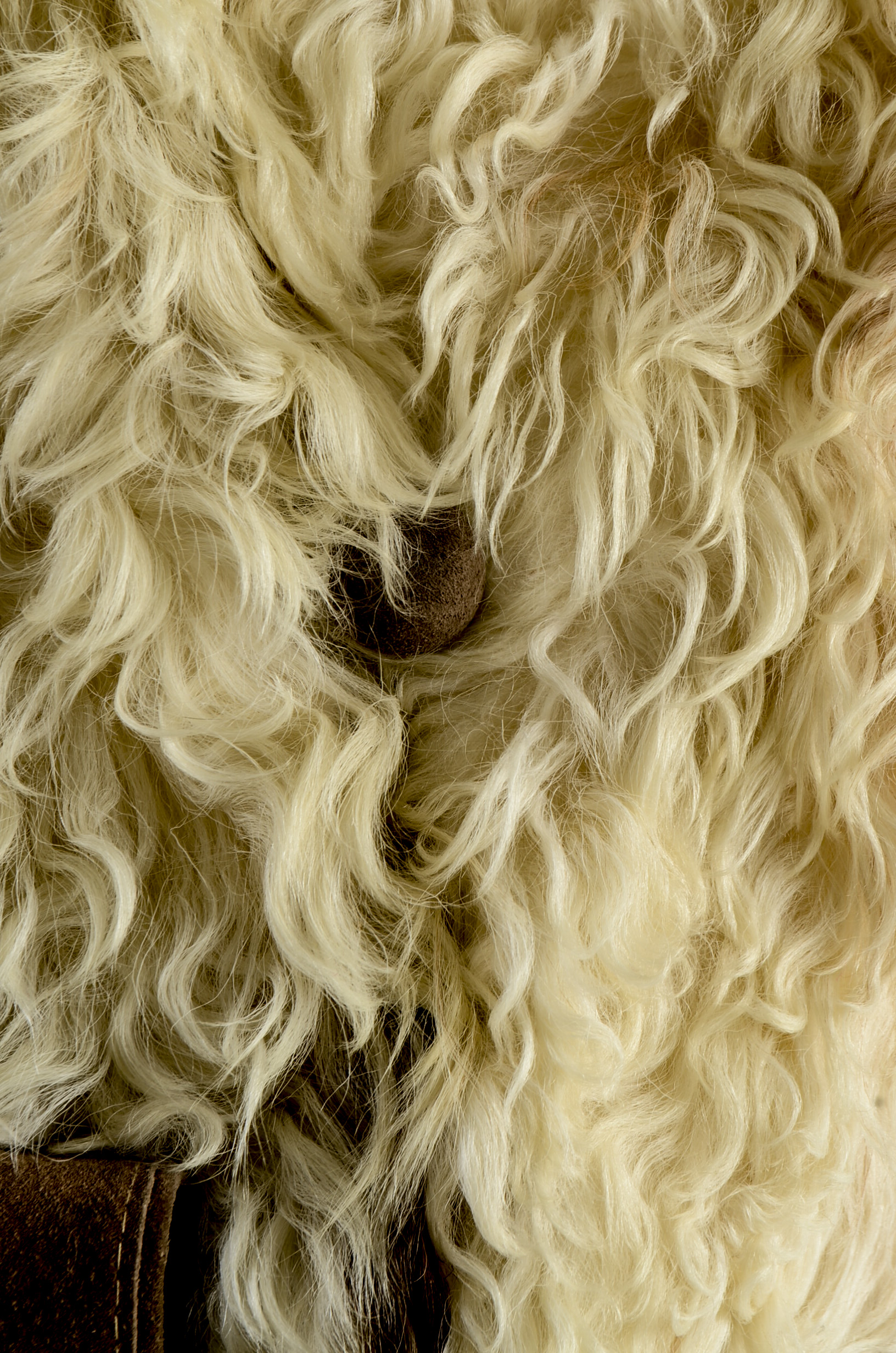 1970s Vintage Curly Lamb Fur Coat