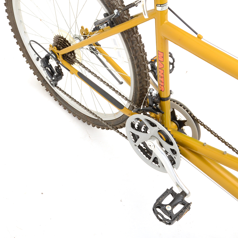 Mantis "Sidekick" Tandem Bicycle - WVXU