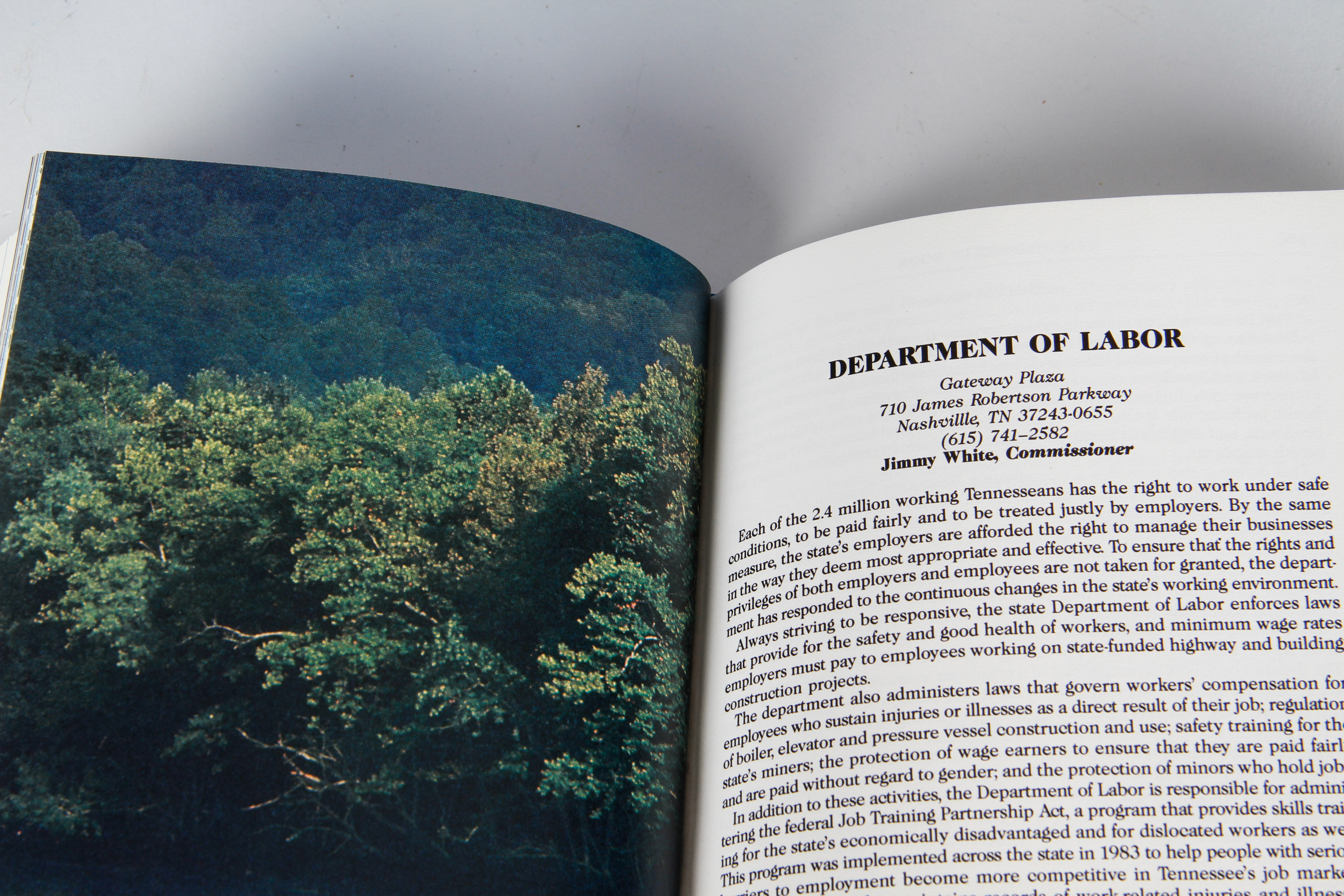 Collection of Vintage Tennessee Blue Books