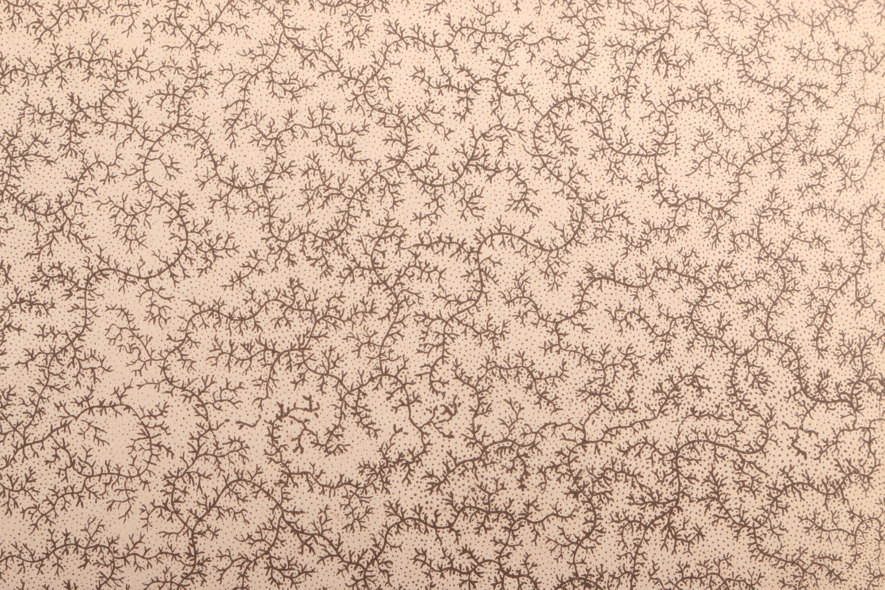 1888 Medical Science Books Volume One Through Five