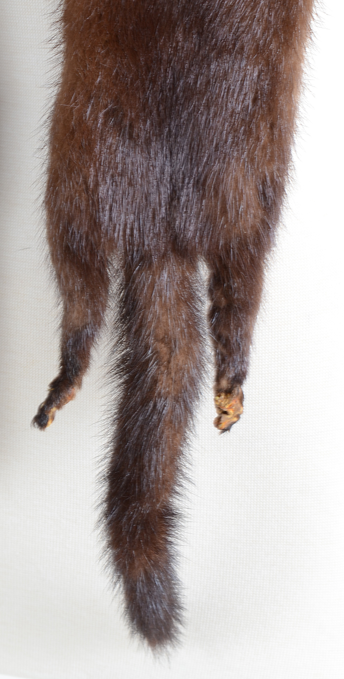 Vintage Chocolate Mink Stole
