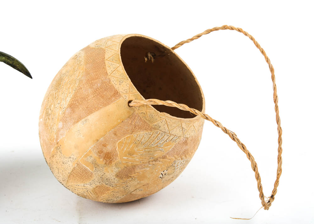 Hand-Painted Bird Art and Carved Gourd Planter