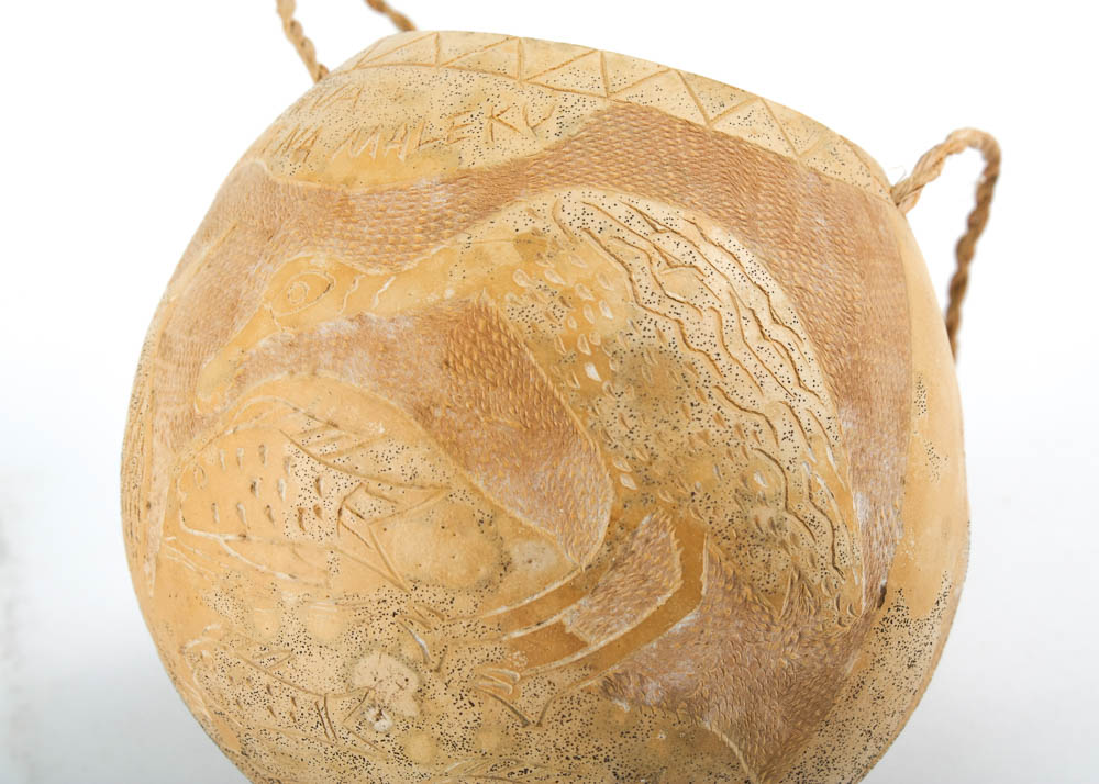 Hand-Painted Bird Art and Carved Gourd Planter