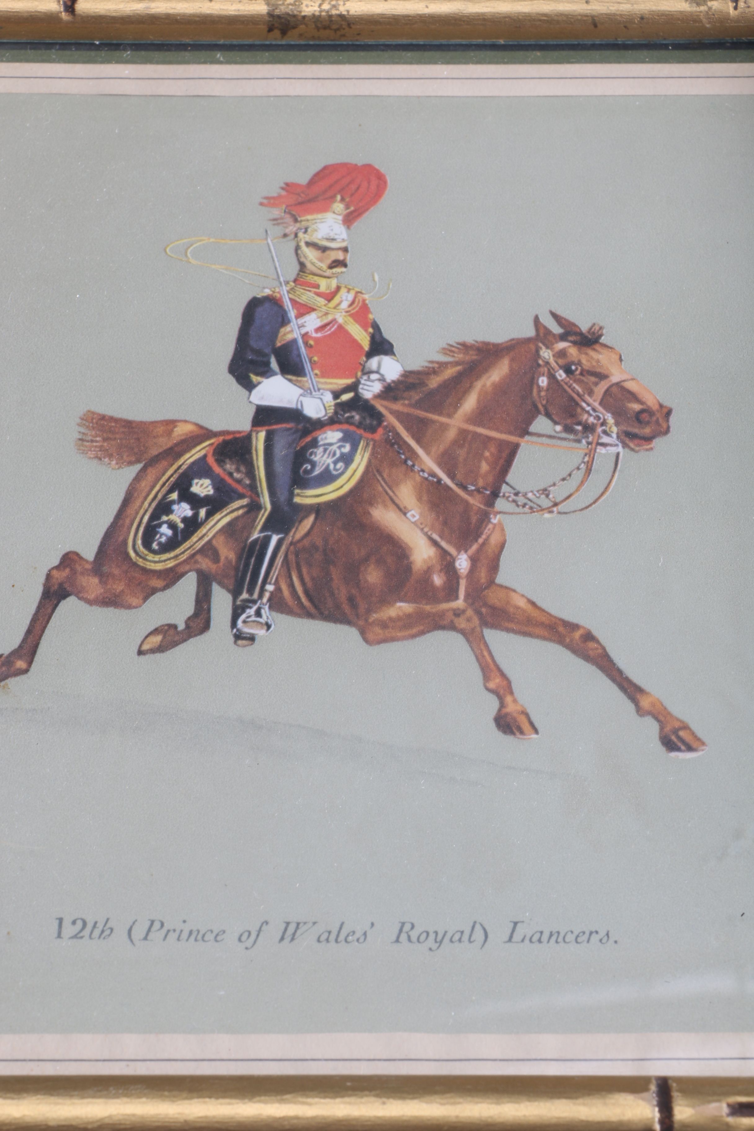 Familial Crests and Knight Decor