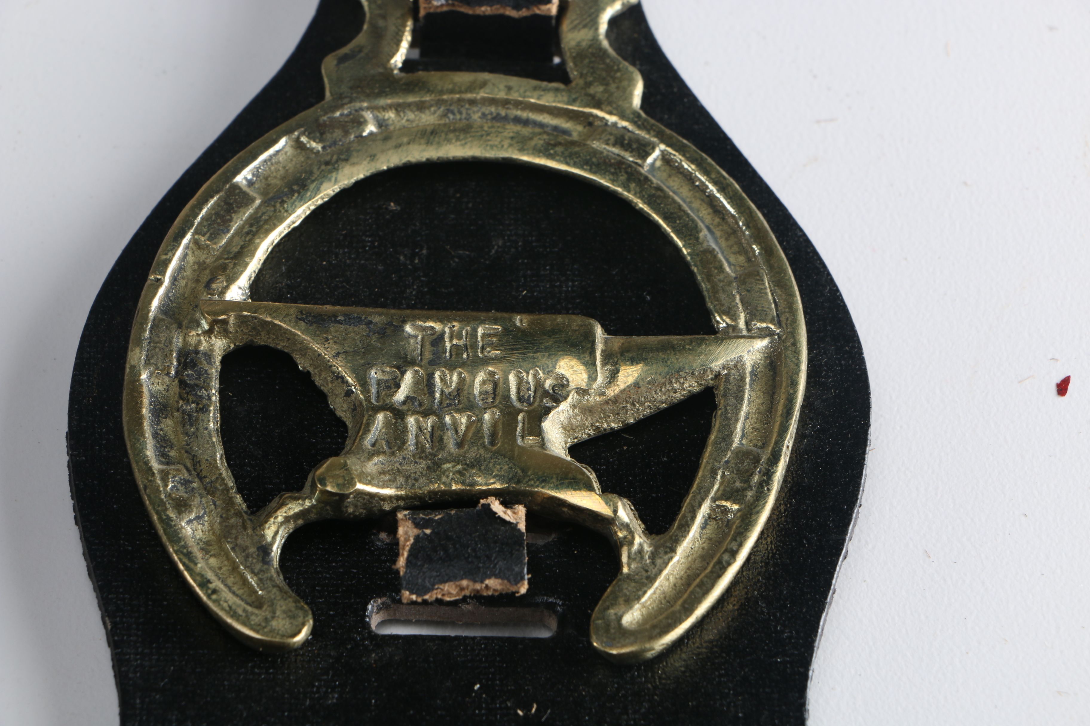 Familial Crests and Knight Decor