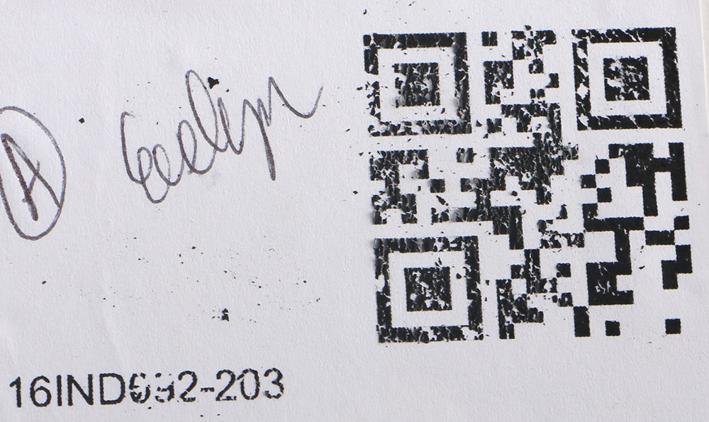 Hand Painted Divided Bowl