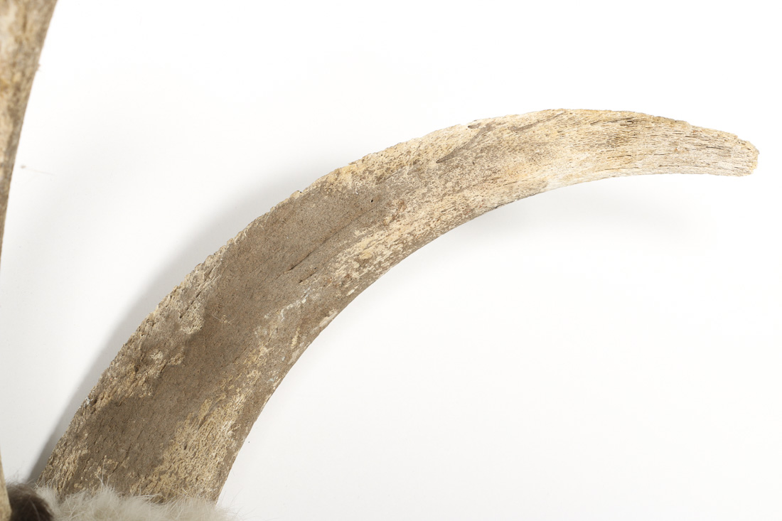 Replica Native American Ceremonial Staff