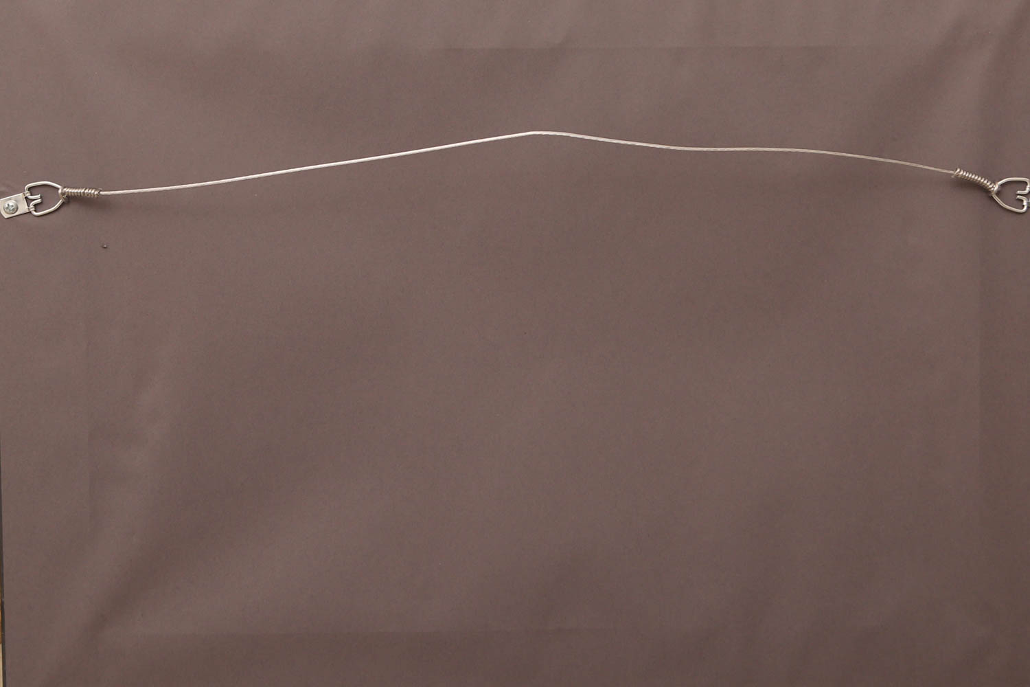 Andrew VanSickle "Opening Night of Music Hall 1878/Lumenocity" Signed Limited Edition Poster