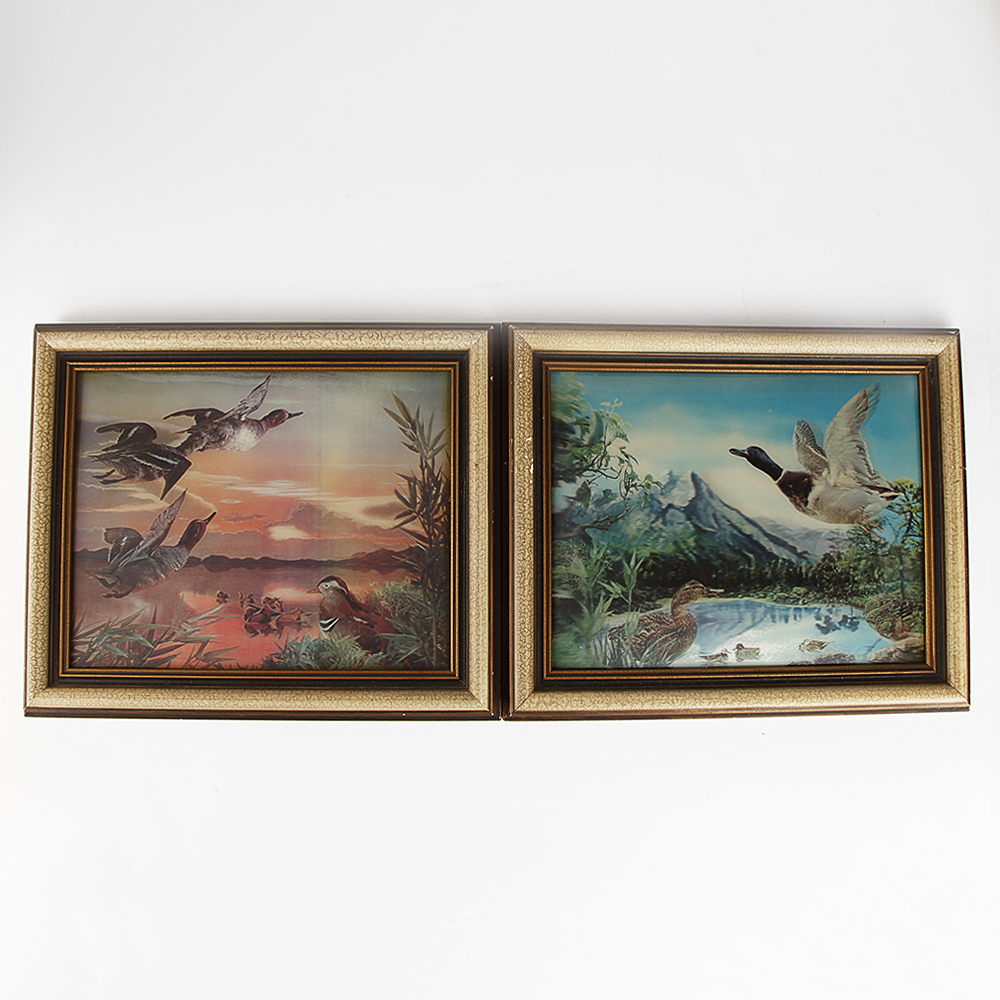 Lenticular Duck and Mallard Framed Prints