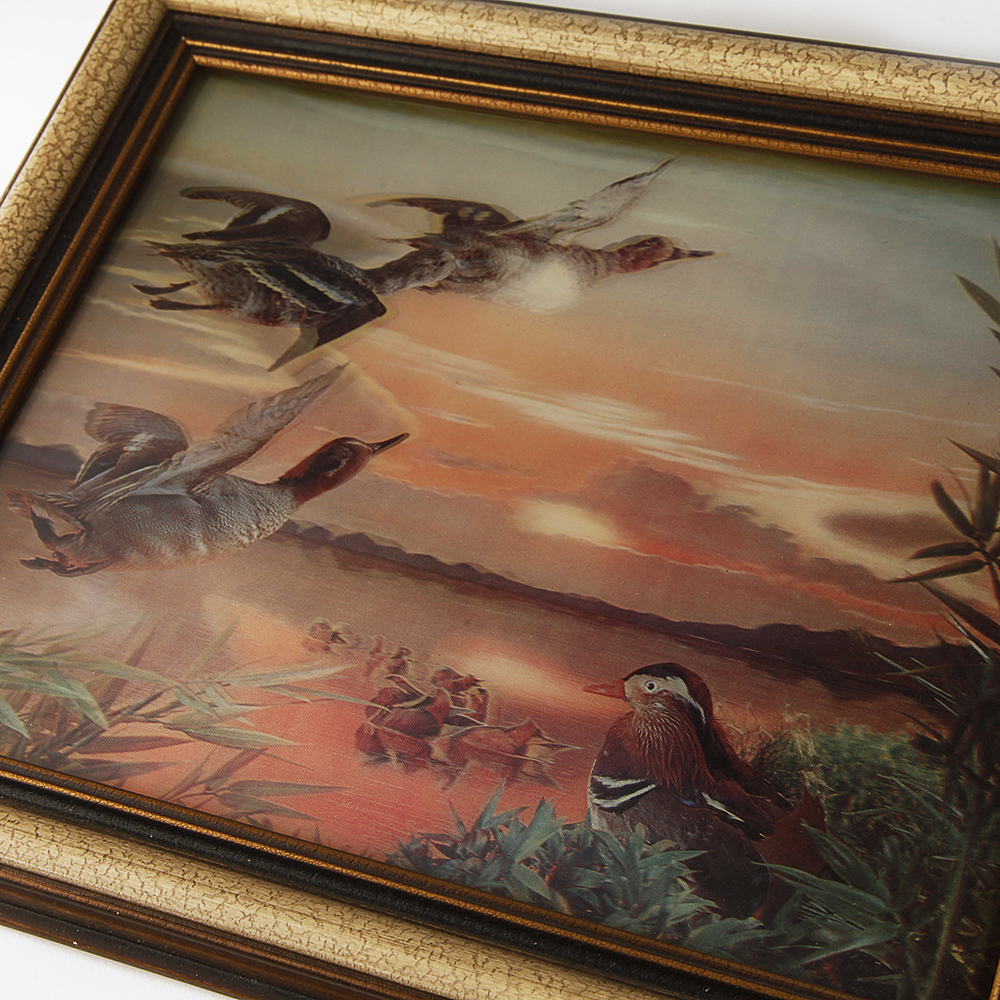 Lenticular Duck and Mallard Framed Prints