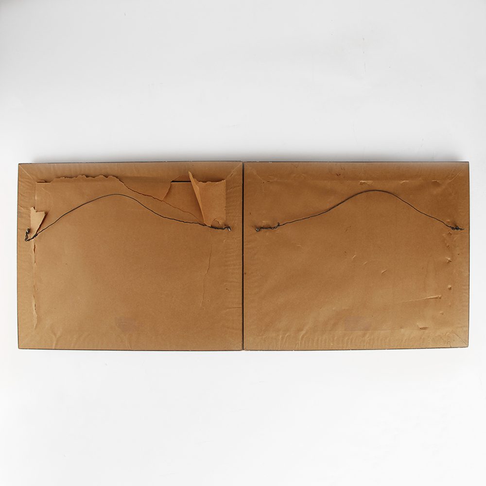 Lenticular Duck and Mallard Framed Prints