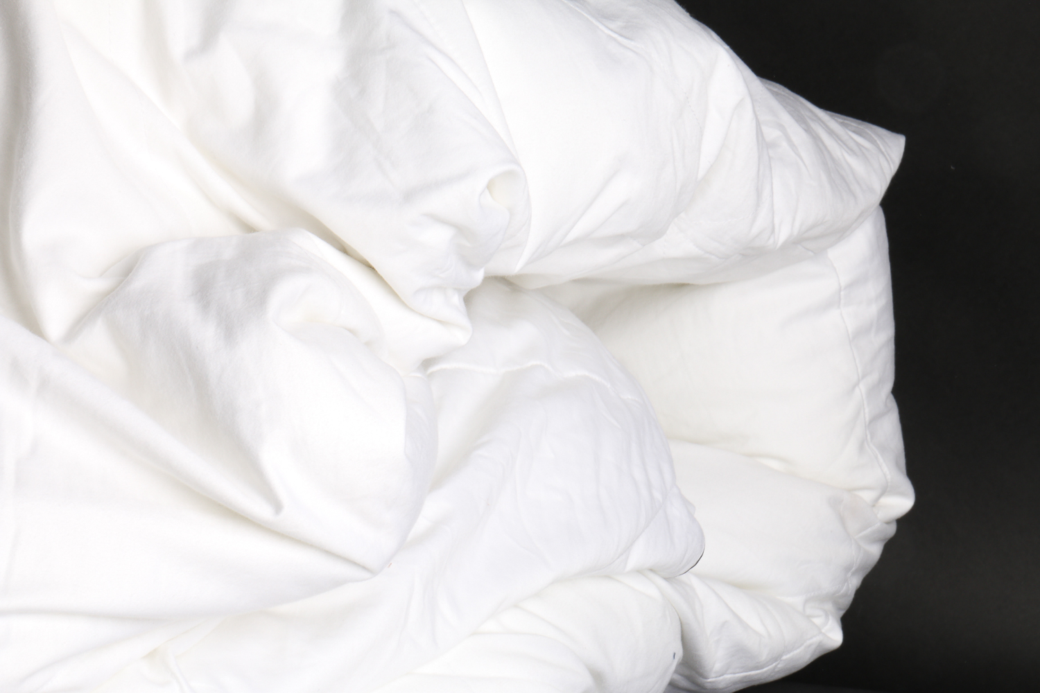 Queen Size Hotel Collection Down Comforter