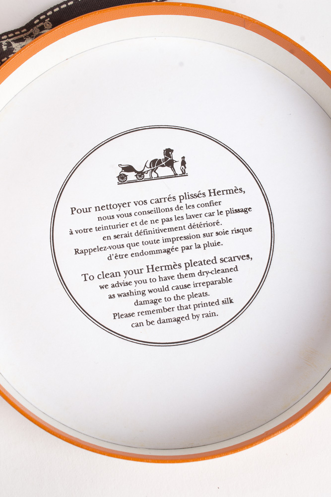 Hermes "Belles du Mexique" Virginie Jamin Designed Pleated Scarf