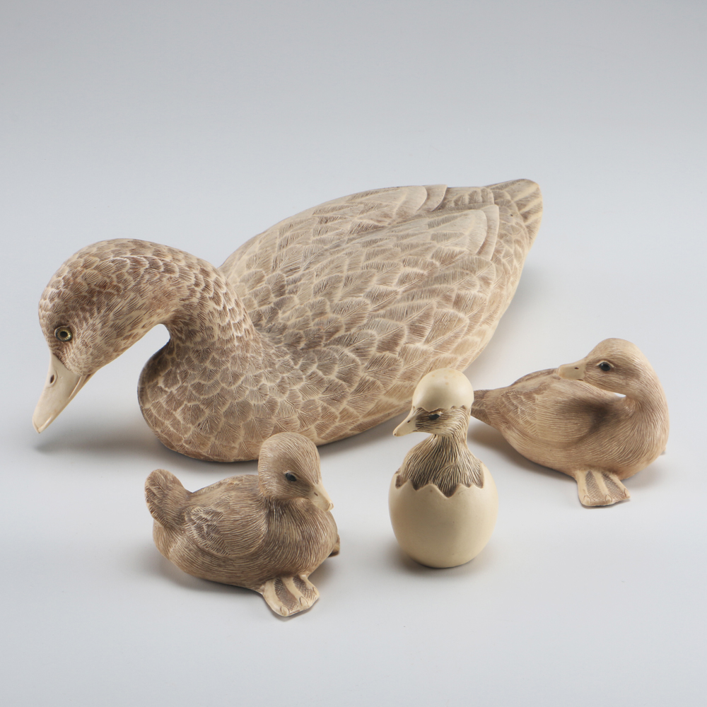 Farm Pond Families Duck Family