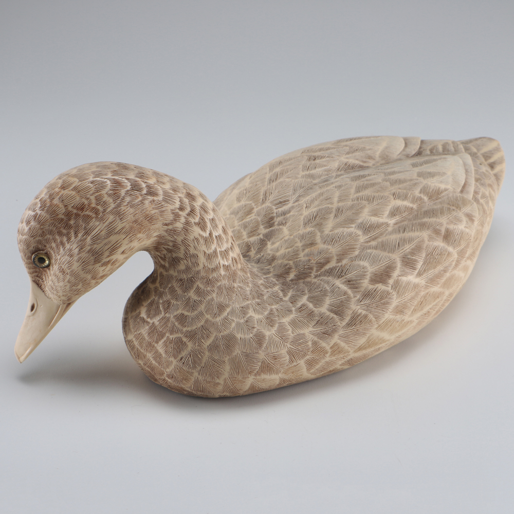 Farm Pond Families Duck Family