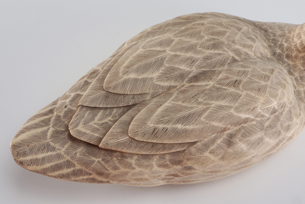 Farm Pond Families Duck Family