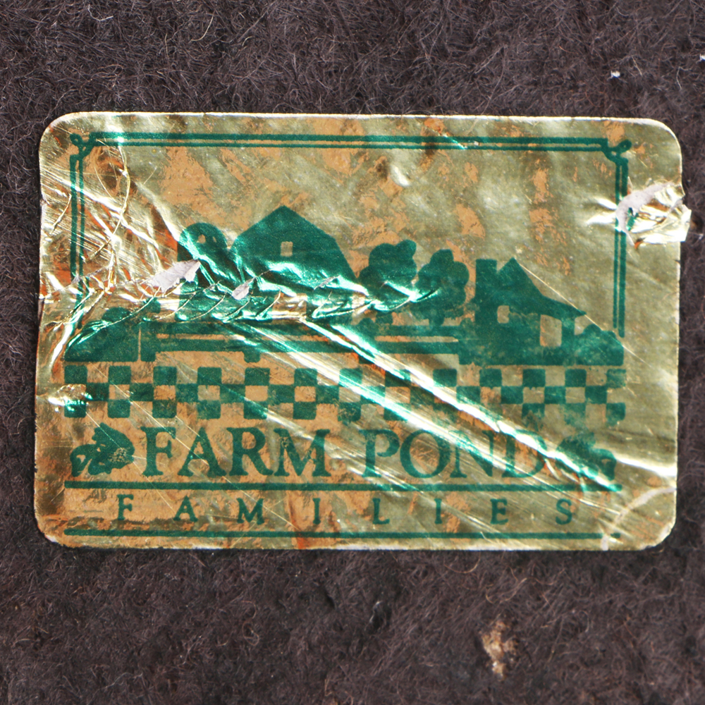 Farm Pond Families Duck Family