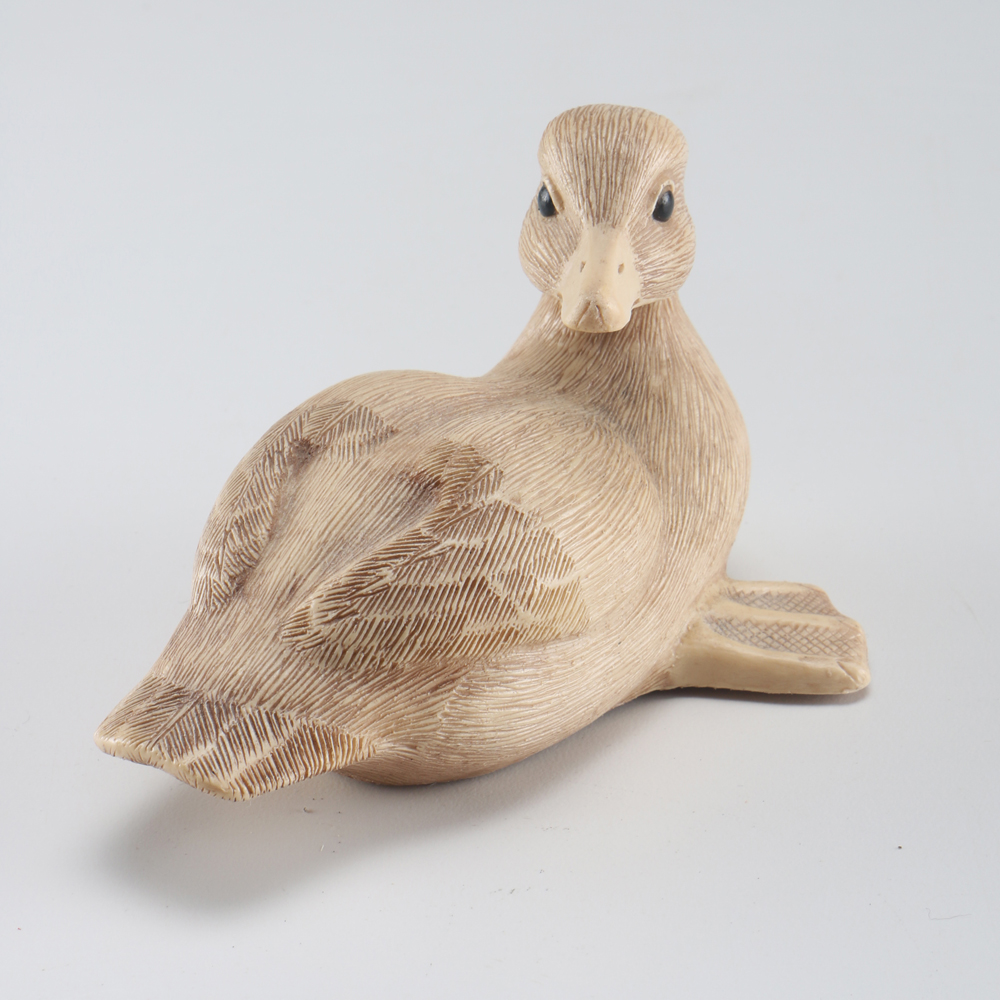 Farm Pond Families Duck Family