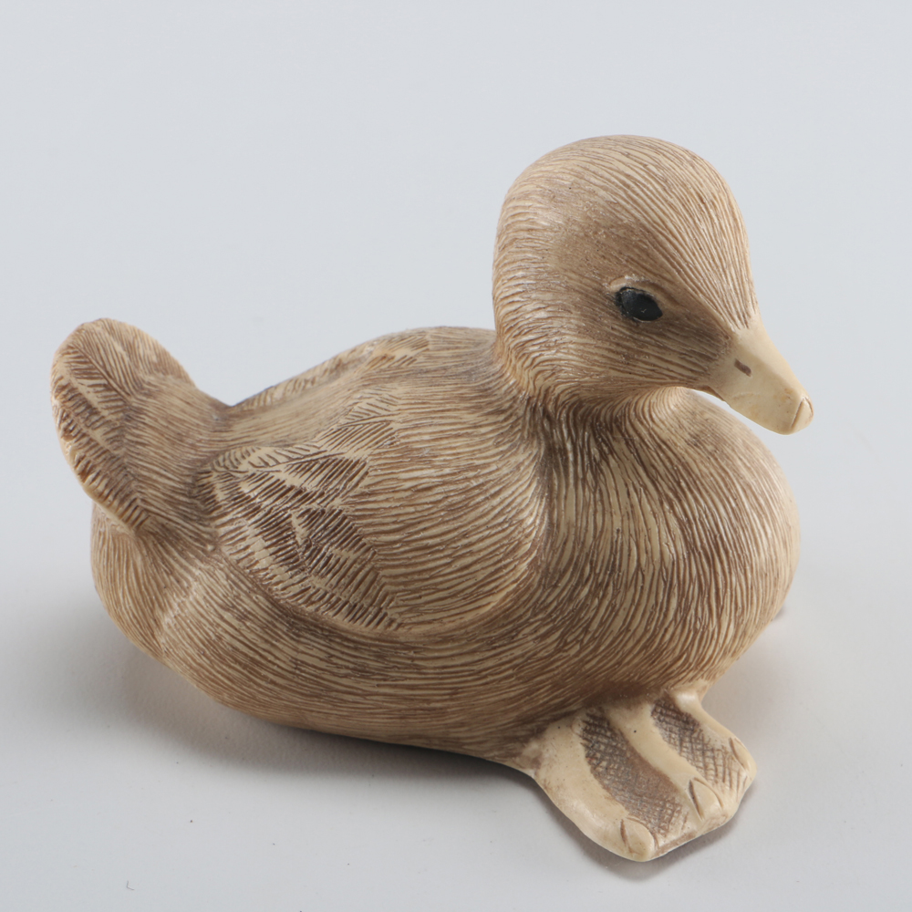 Farm Pond Families Duck Family