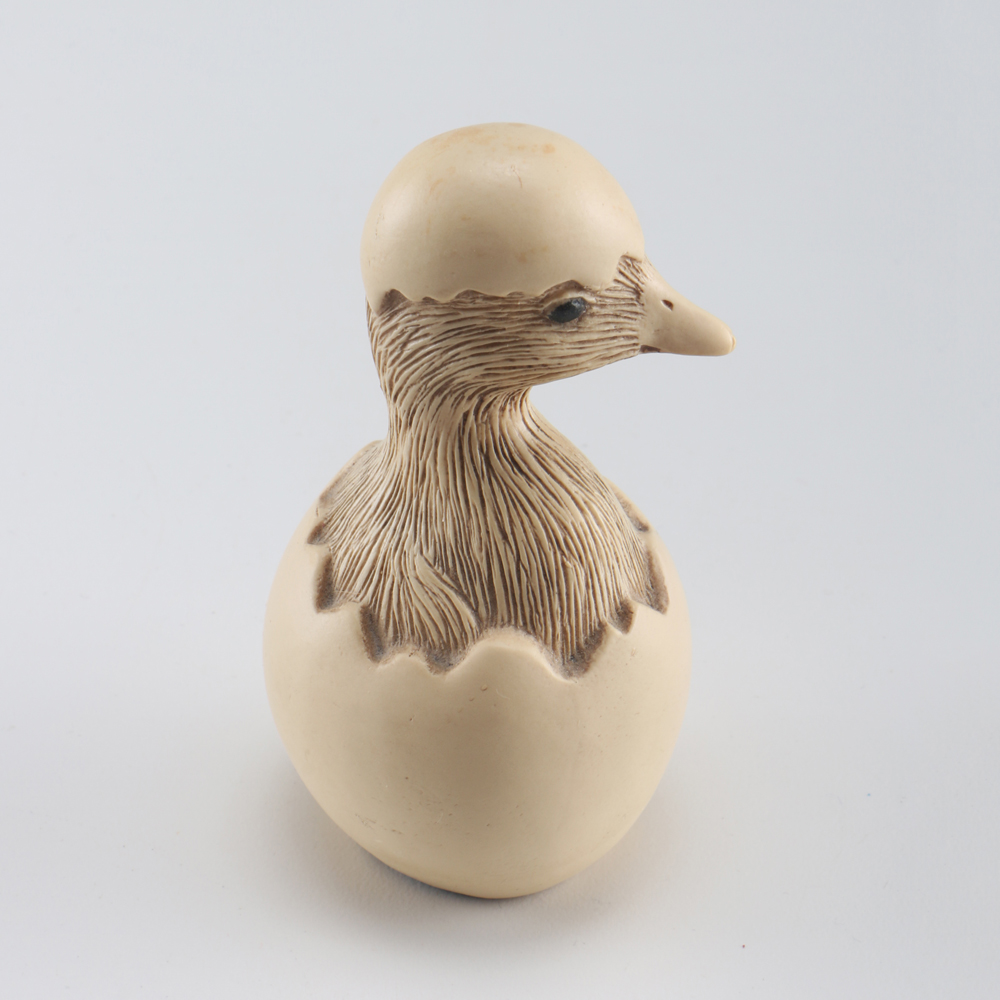 Farm Pond Families Duck Family