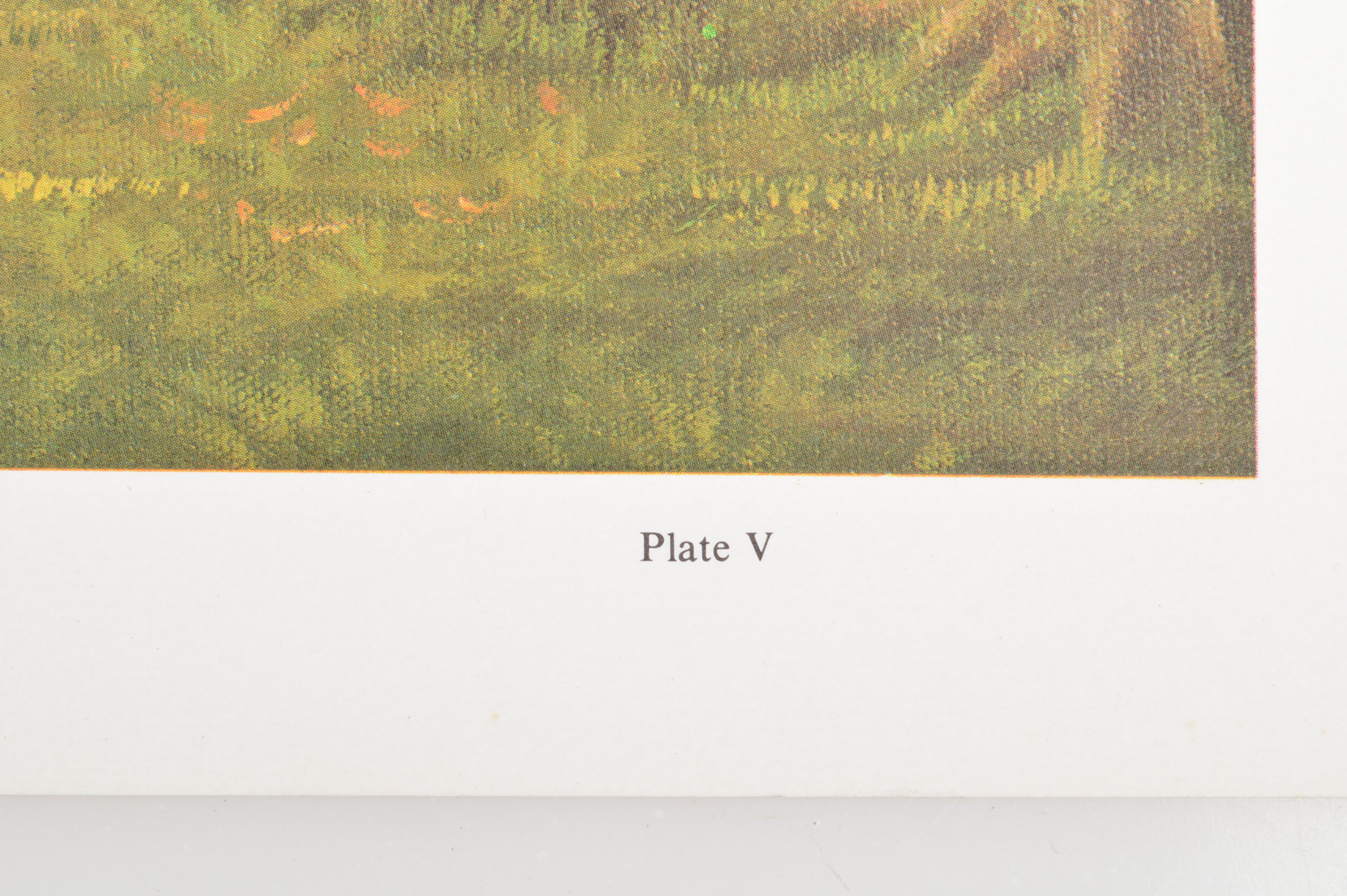 Signed "Old Kentucky Home" Print by C. W. Vittitow