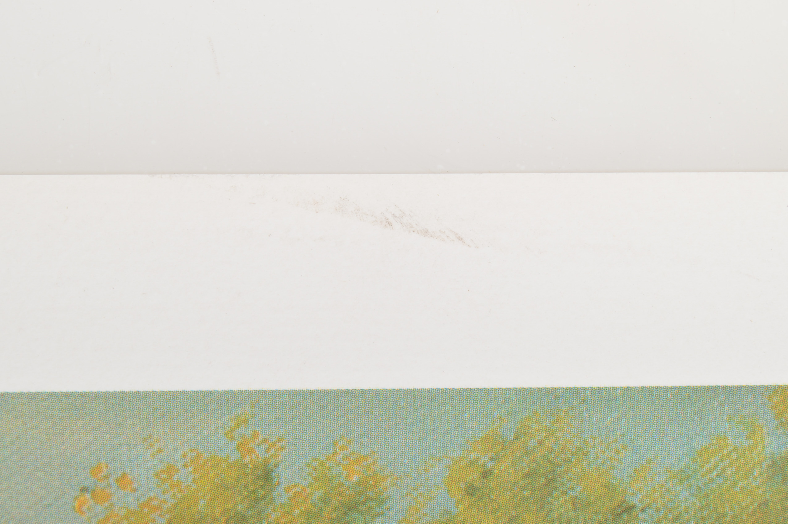 Signed "Old Kentucky Home" Print by C. W. Vittitow