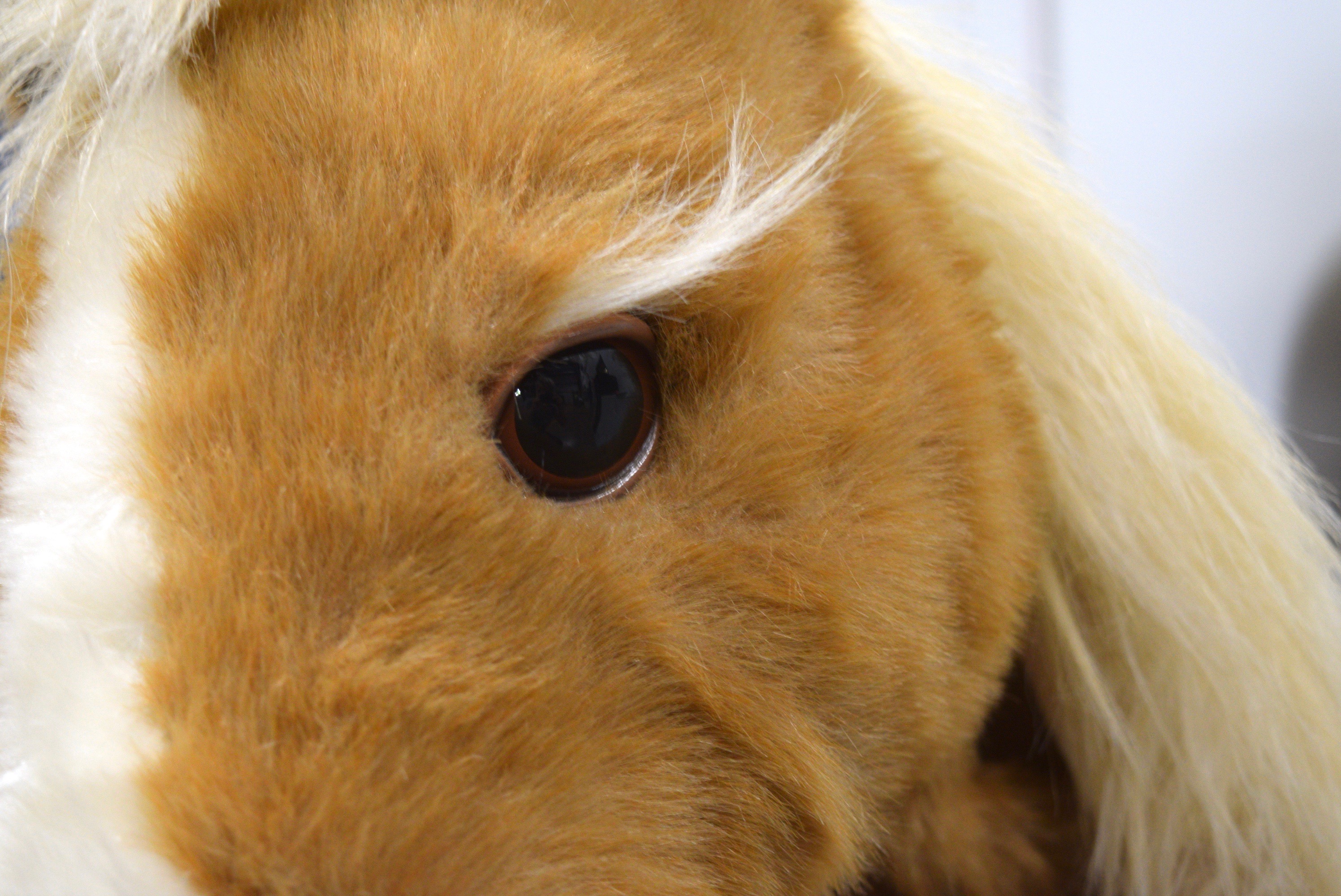 Hasbro FurReal Friends Butterscotch Interactive Pony