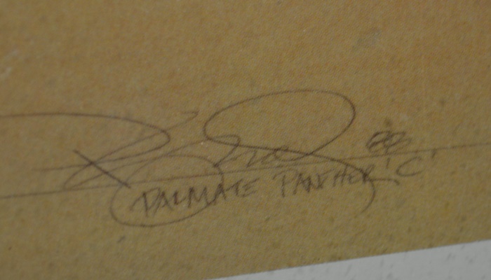 After Peter Kitchell "Palmate Panther" Offset Lithograph