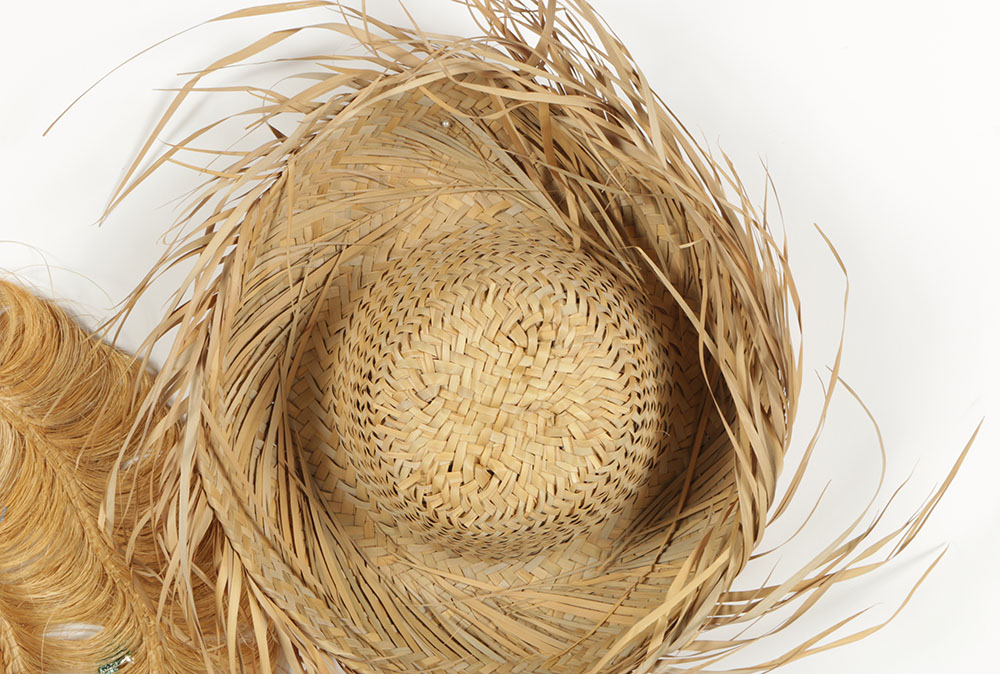 Costume Hat Collection