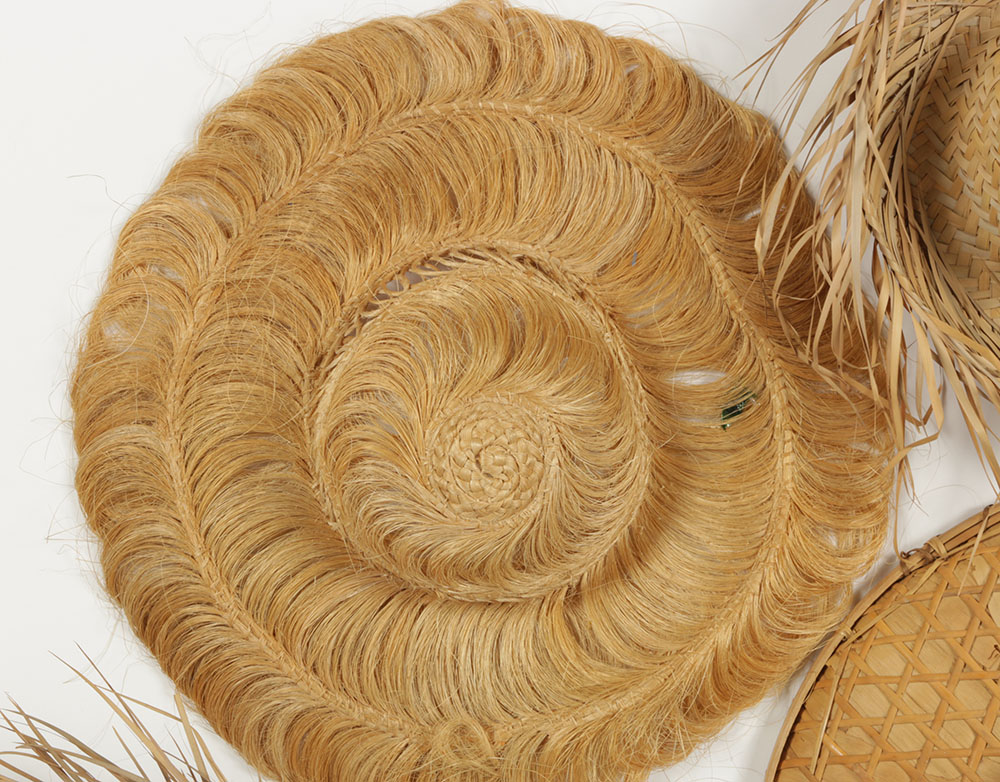 Costume Hat Collection