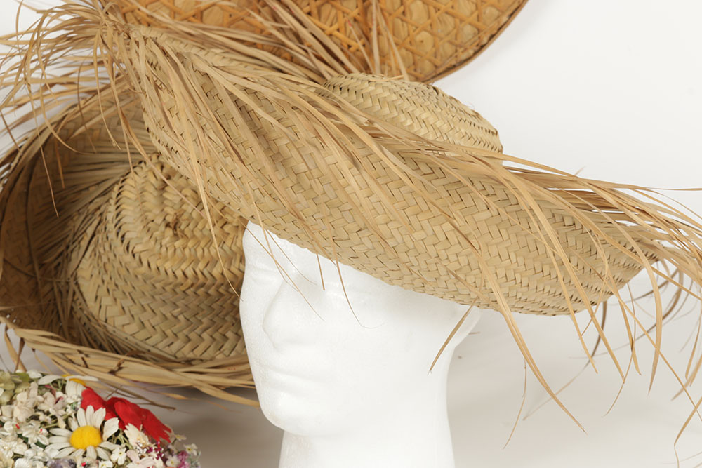 Costume Hat Collection