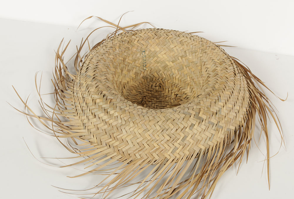 Costume Hat Collection