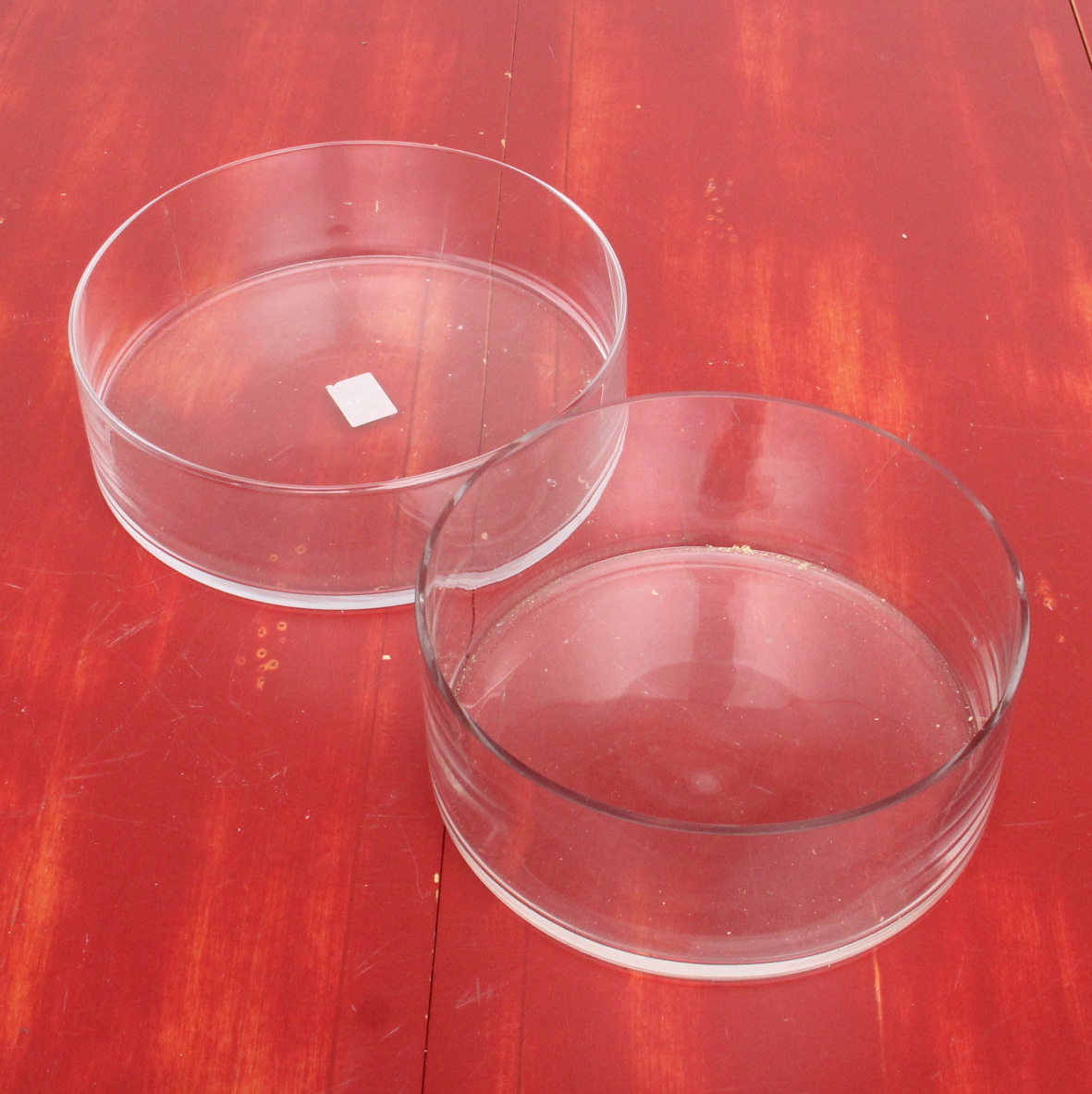 Collection of Round Floral Glass Display Bowls