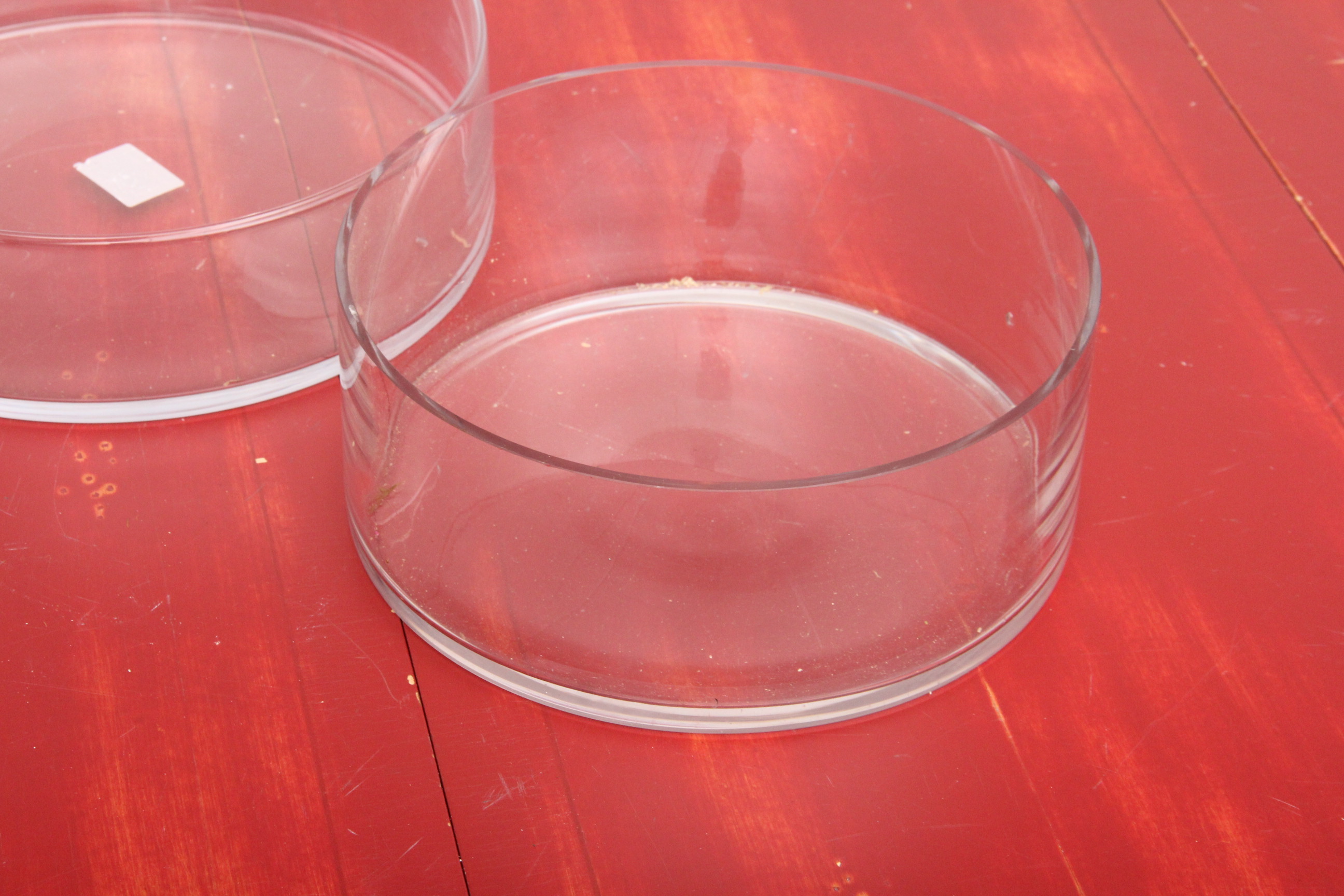 Collection of Round Floral Glass Display Bowls