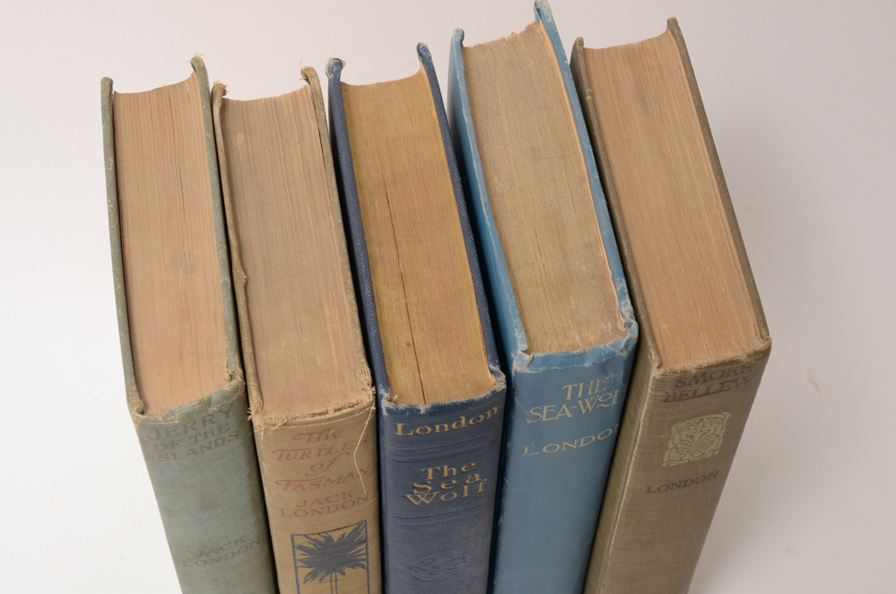 Vintage Collection of the Works of Jack London