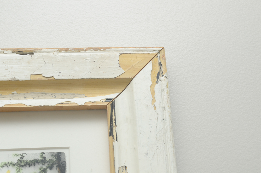 Signed Hand-Painted Photographs by Jana Epstein