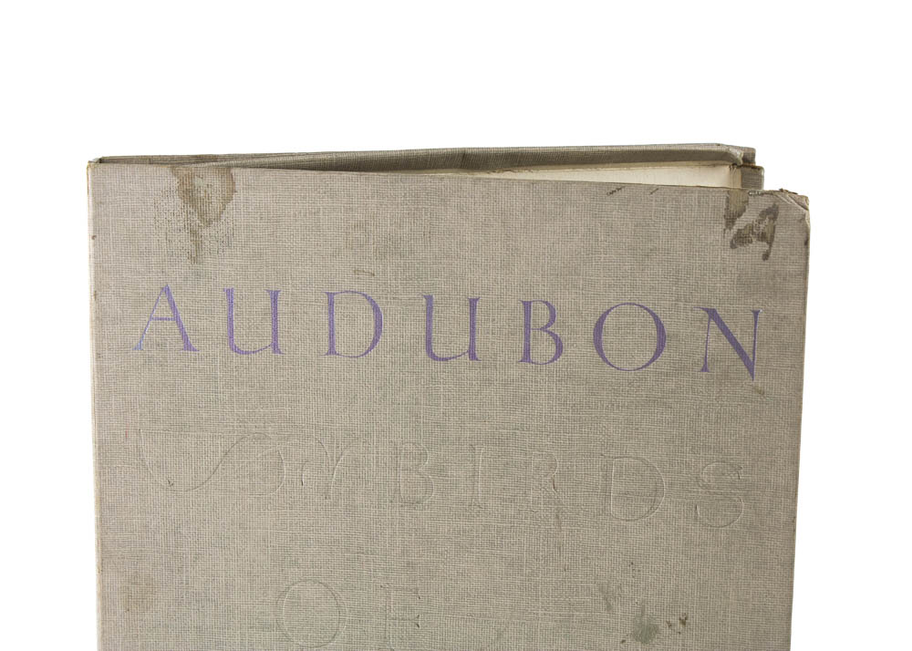 Audubon "Birds of America" Offset Lithograph Collection