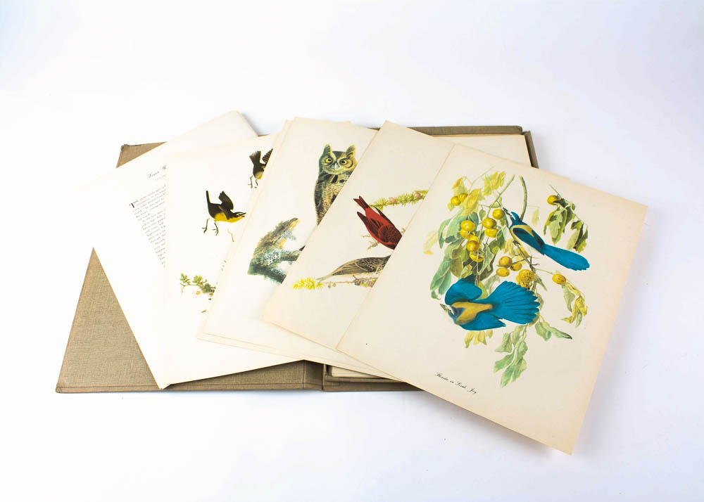 Audubon "Birds of America" Offset Lithograph Collection
