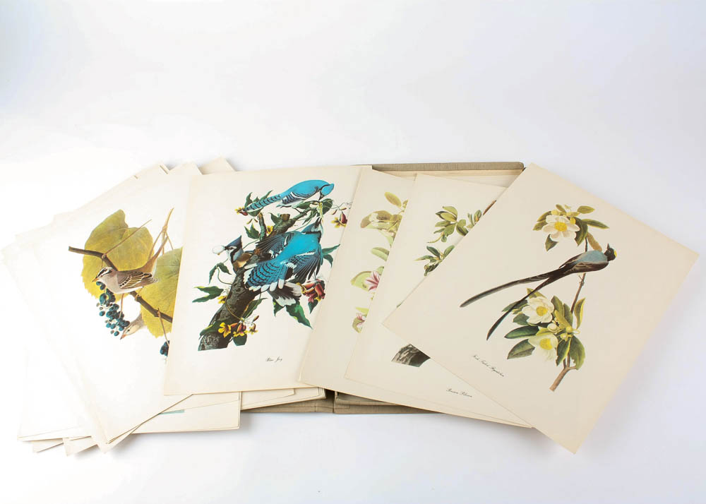 Audubon "Birds of America" Offset Lithograph Collection