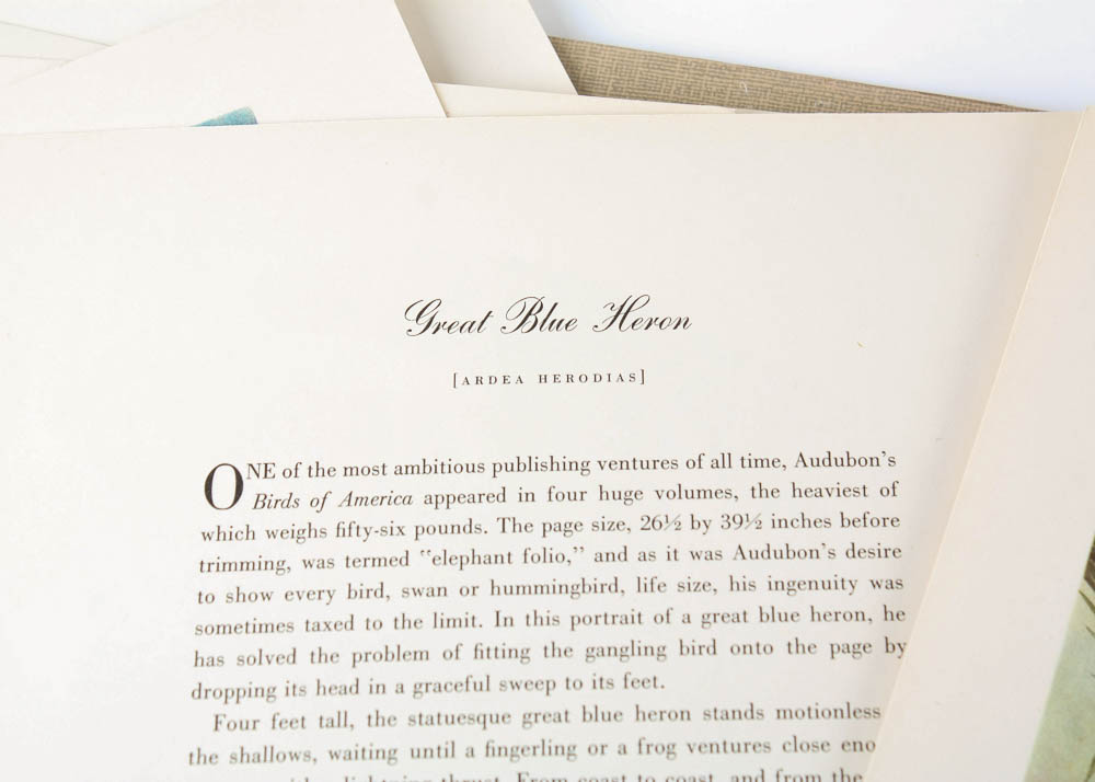 Audubon "Birds of America" Offset Lithograph Collection