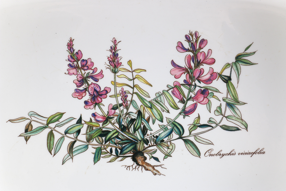 Villeroy and Boch "Botanica" Dishes