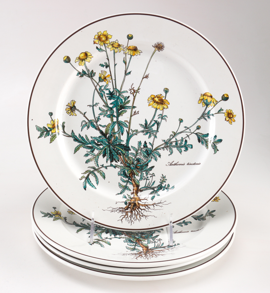 Villeroy and Boch "Botanica" Dishes