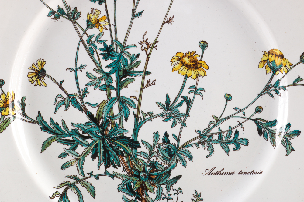 Villeroy and Boch "Botanica" Dishes