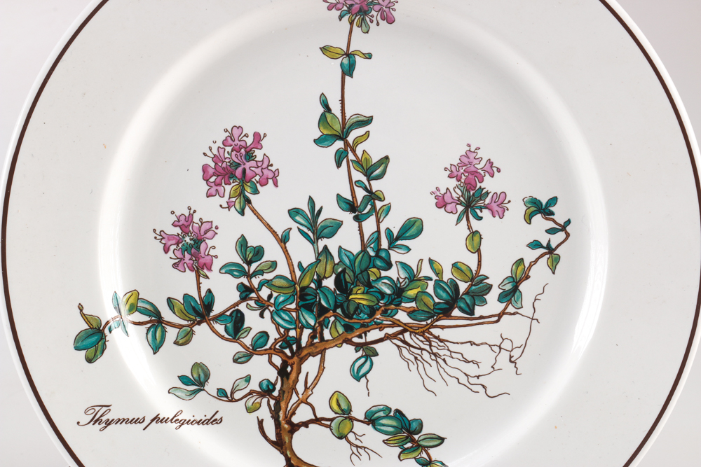 Villeroy and Boch "Botanica" Dishes